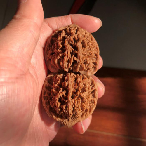 42mm自然山地果百花山满天星狮子头文玩把件精选麻核桃老树压手强