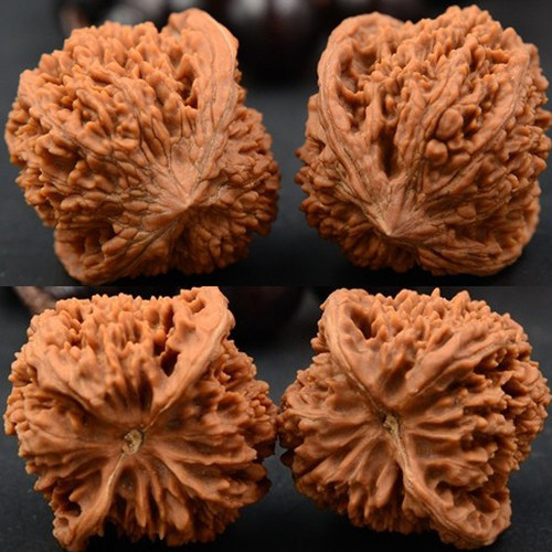 44mm精选百花山满天星狮子头文玩把件麻核桃自然野生老树送礼扎手