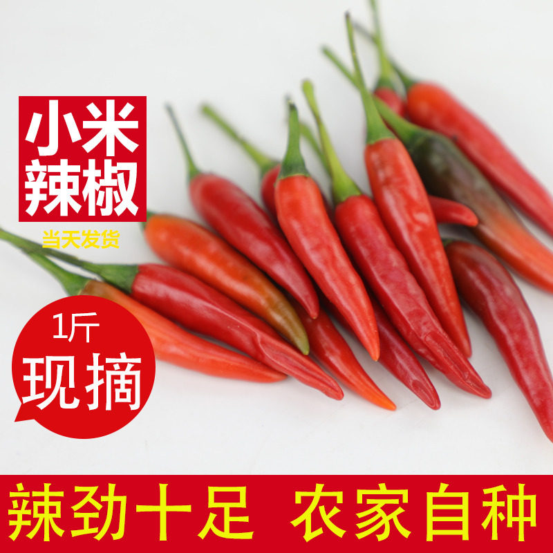 新鲜小米辣椒米椒朝天椒小米辣红色小尖椒剁椒做泡椒1斤装特辣1斤