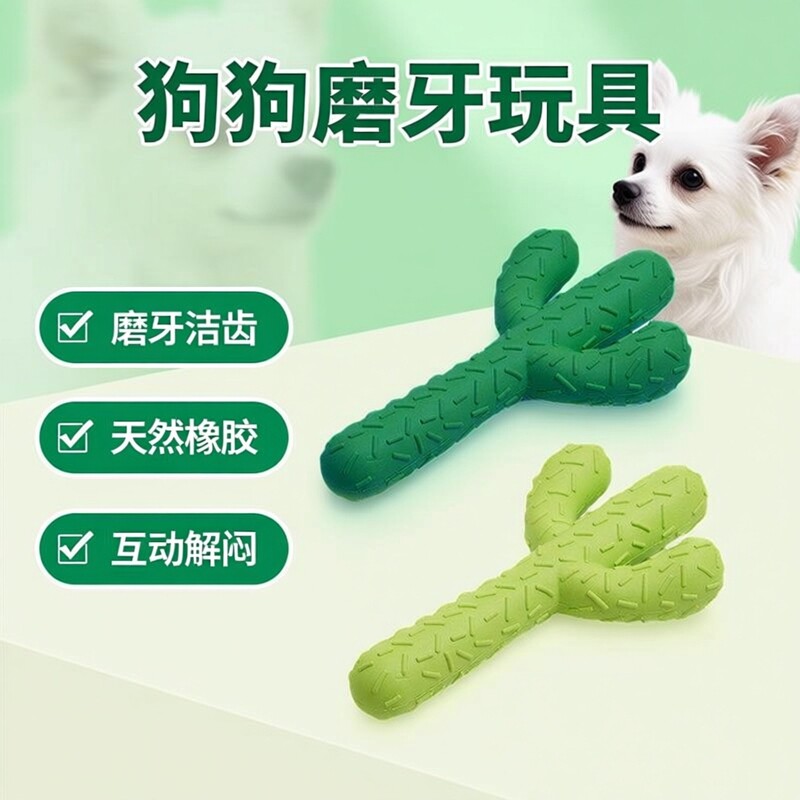 中小型犬大磨牙嗨狗狗仿真仙人掌