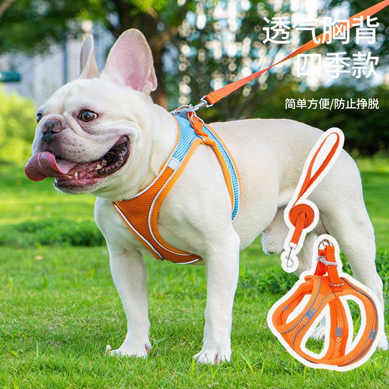 牵引绳绳宠物用品绳反光胸背背心遛狗宠物式狗狗牵引绳猫咪遛猫
