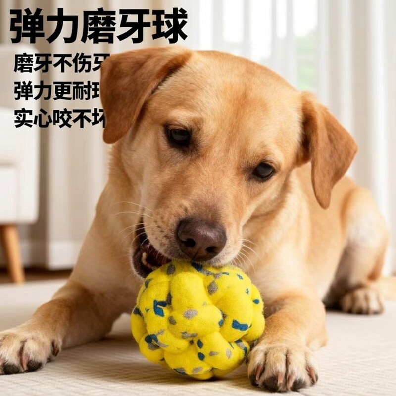 爆米花新款逗猫球TP爆爆球狗狗