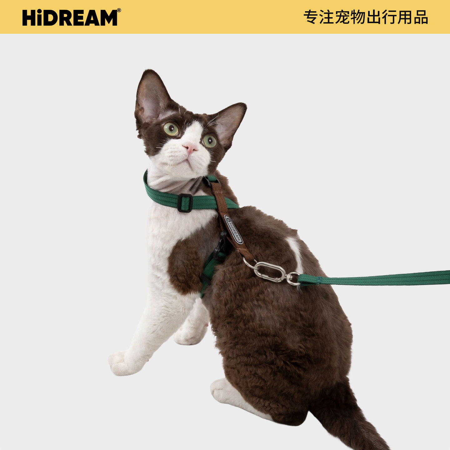 HiDREAM猫咪牵引绳8字型胸背套装图片