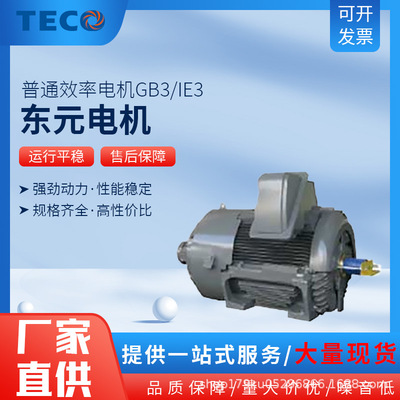 东元电机普通效率电机GB3/IE3 能效185kw200kw375kw300kw310kw