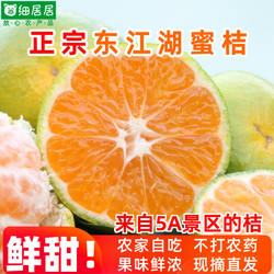正宗东江湖蜜桔 无核化渣湖南郴州资兴桔子特产 新鲜水果产地直发
