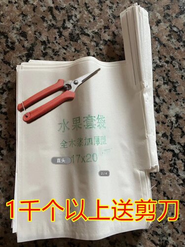 红美人蜜橘茂谷柑专业单层果袋