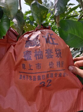 柚子套袋双层纸袋三红柚子专用套袋沙田柚蜜柚防虫袋水果防晒袋子