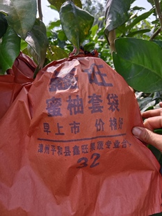 柚子套袋双层纸袋三红柚子专用套袋沙田柚蜜柚防虫袋水果防晒袋子