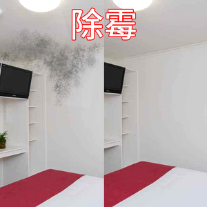 3瓶装除霉剂墙体墙面去霉剂霉菌清除剂防霉霉斑发霉清洁家具白墙