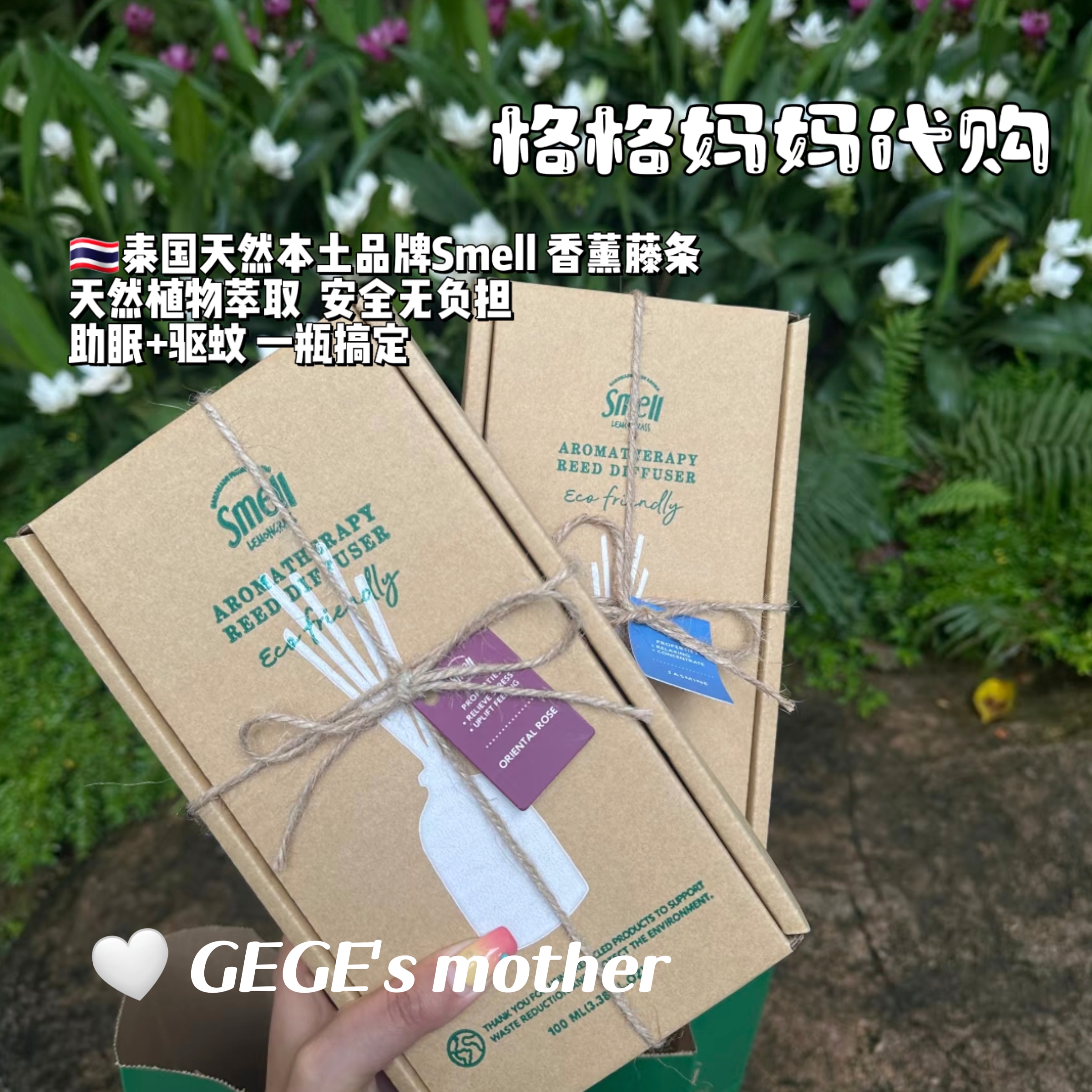 泰国 smell无火室内香薰藤条扩香室内香薰净化空气挥发型室内香氛