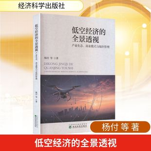 正版现货 低空经济的全景透视:产业生态、商业模式与组织管理 经济科学出版社 杨付 等 著 著 经济理论