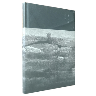 正版现货木心论与孤鹜齐飞共木心一色精装李劼作品广西师范大学出版社9787549564088