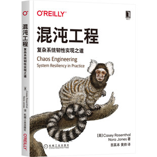 混沌工程:复杂系统韧性实现之道 BK