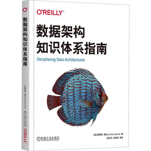 正版现货 数据架构知识体系指南 机械工业出版社 (美)詹姆斯·塞拉(James Serra) 著 张兵兵 等 译 数据库