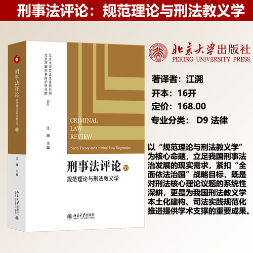 现货正版 刑事法评论：规范理论与刑法教义学 江溯 刑法 刑事诉讼法研究 刑法教义学 北京大学出版社9787301371947