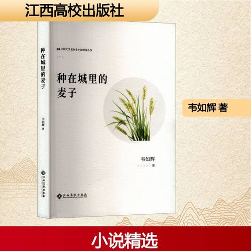 正版现货 种在城里的麦子 江西高校出版社 韦如辉 著 现代/当代文学