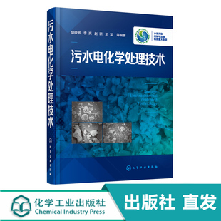 李亮 水污染治理 水环境管理 废水电化学处理技术基本原理工艺流程设计计算操作管理 胡筱敏 污水处理技术书籍 污水电化学处理技术