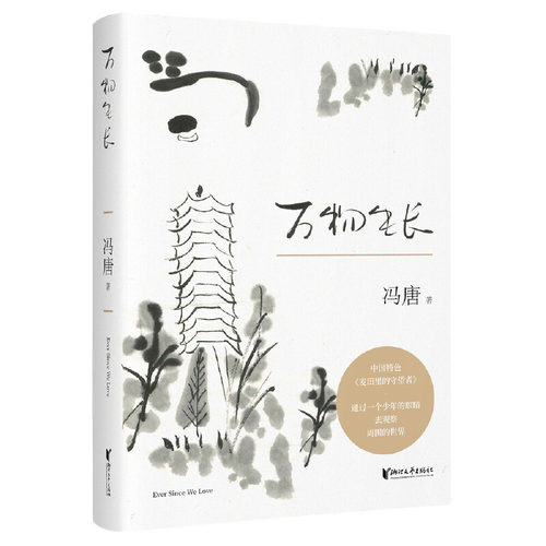 冯唐电影价格 冯唐电影图片 星期三