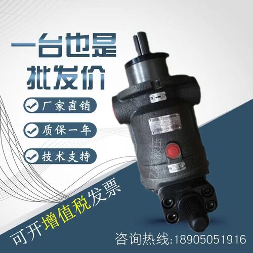 邵阳维克液压SY-10/25/32/40/63/80/100/125YCY14-1E/B轴向柱塞泵