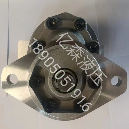 替代EATON伊顿ETN齿轮油泵25505/25506/25507/25508-RSE/RSA/RZC