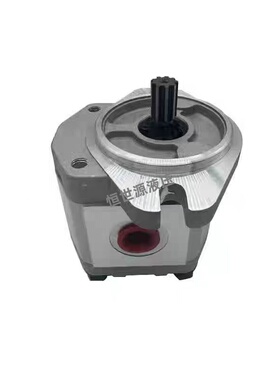 BAP2A0DS10A0L0 BHP2B2/BHP2A0/BHP2B1/液压齿轮泵挖掘机齿轮泵