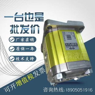维沃VIVOLO齿轮泵X2P系列X2P4702EOOA X2P5731CSRA X2P4301EPOA