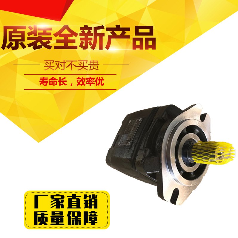 海特克齿轮泵HG1/HG0/HG2-80/125-01R-VPC内啮合液压伺服油泵双联