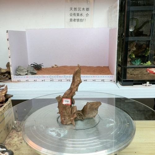 紫柚木24号长15宽11高18