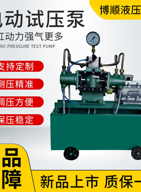 巨晟电动试压泵高压柱塞泵PPR水管打压机管道打压泵4dsy-100公斤