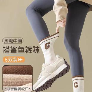 2024袜子女潮网红款 发5双 中筒袜春秋女袜女生