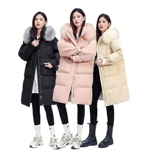 直播间扣号专属链接