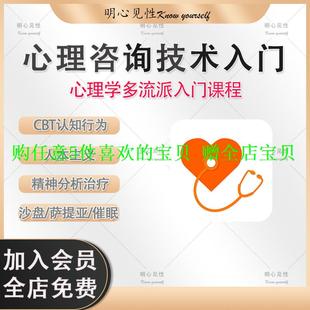 萨提亚精神分析CBT游戏认知人本主义心理咨询入门技术沙盘行为