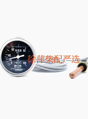 潍坊6160淄柴6170 8170水温油温表减震直感式抗震水表温WTZ-603