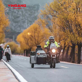 银钢小边三侉子边三轮摩托车整车可上牌燃油家用倒档摩旅YG200B