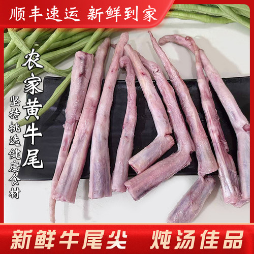 新鲜牛尾尖牛脊骨炖汤佳品