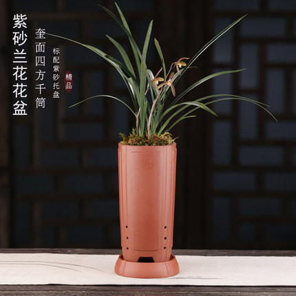 兰花花盆陶瓷四方签筒高端兰花专用盆建兰 寒兰 兰草花盆特价清仓
