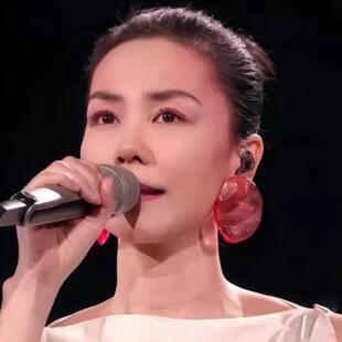 王菲春晚同款红色虾片耳环2025新款爆款耳饰网红个性夸张大耳钉