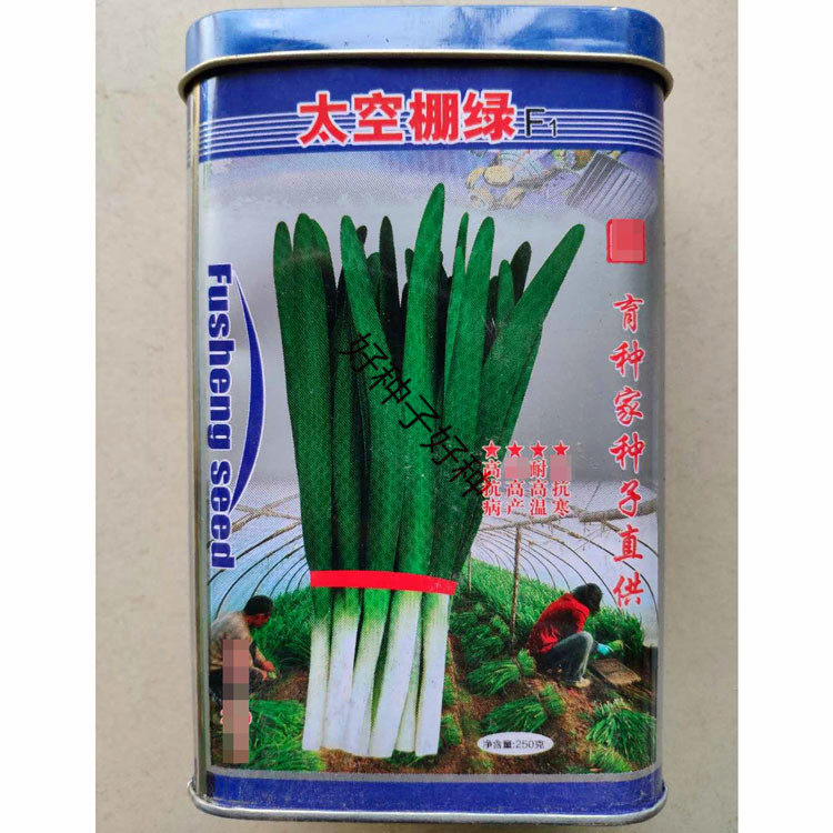 太空棚绿韭菜种籽高产耐寒春秋播不休眠河南韭菜种子包邮