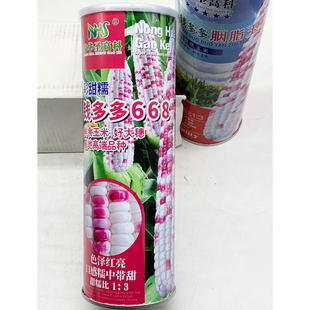 钱多多668彩甜糯玉米种籽高产春秋大田杂交甜糯香花玉米种子