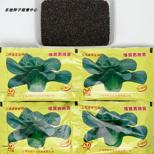 长征矮箕苏州青种籽耐寒油亮