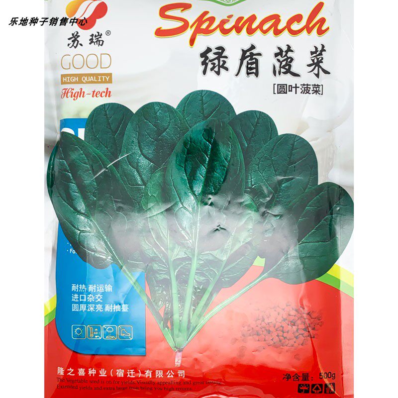 苏瑞杂交黑圆叶菠菜种籽高产抗病春秋直立红根菠菜种500克原装