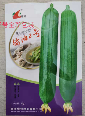 绿油2号短油皮丝瓜种籽高产春秋播耐热四季白籽油丝瓜香丝瓜种子