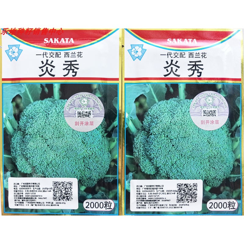 炎秀杂交西兰花种子高产耐热中熟