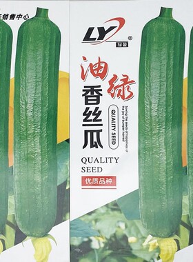 油绿香丝瓜种籽高产耐热白籽短棒油皮香丝瓜水瓜种子10克包邮