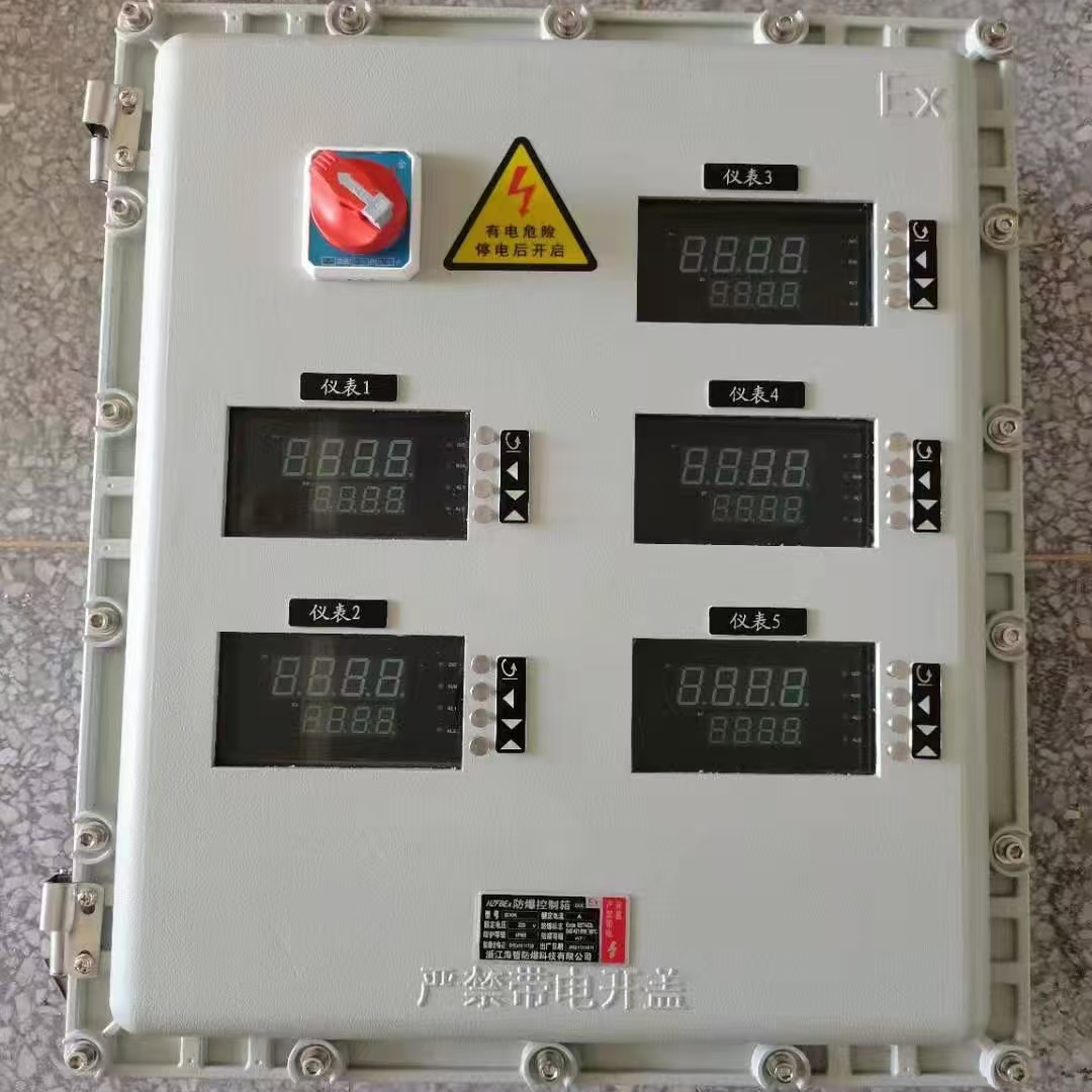 防爆仪表控制箱IIBT6防爆仪表箱积算仪/温控仪表数显表带按键操作
