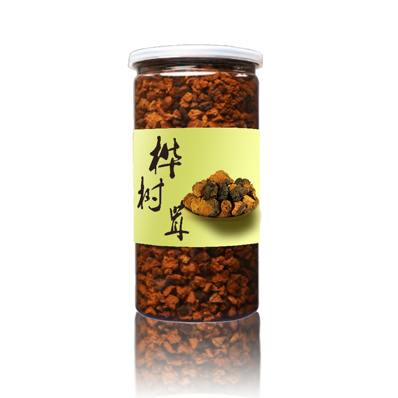长白山茶茸桦褐孔菌代用茶黄菇菌