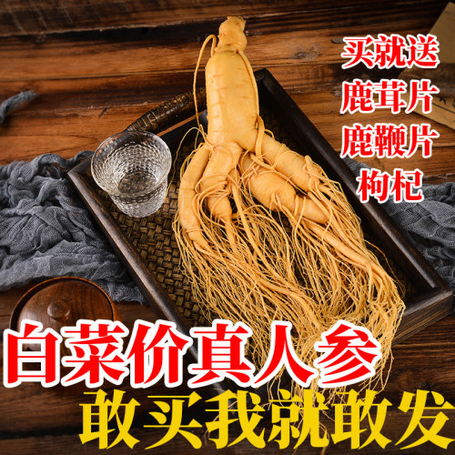 长白山东北野山参泡酒新鲜人参