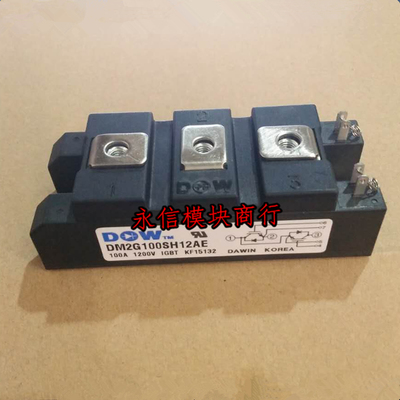 全新原装DM2G100SH12AE DM2G75SH12A IGBT 1200V 大卫