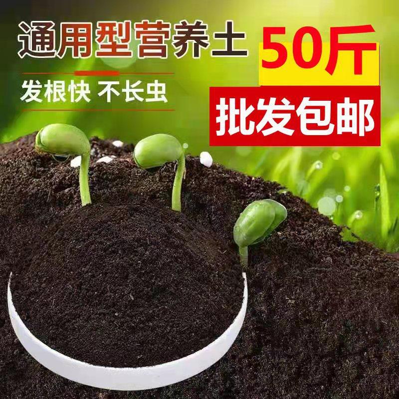 园艺营养土养花种植土花盆栽肥料多肉培育发酵土壤有机园艺专用土,鲜花速递/花卉仿真/绿植园艺,介质/营养土,淘宝优惠券,粉丝福利购,淘宝优惠卷