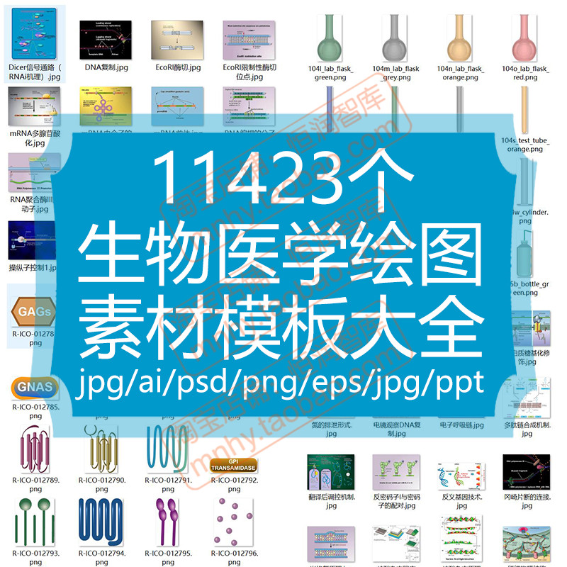 生物医学绘图素材模板大全实验AI矢量图分子绘图神经生理学组织学